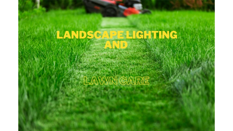 How to Install Landscape Lighting Without Damaging Your Lawn
