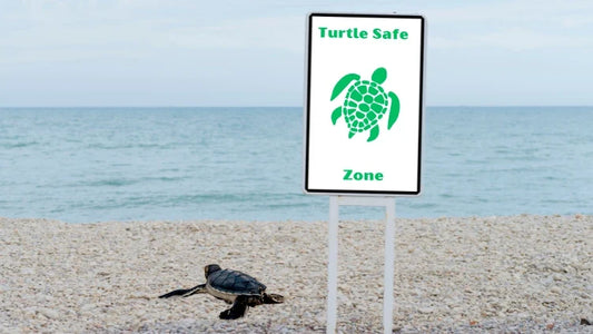 Sea turtle-friendly beachfront lighting