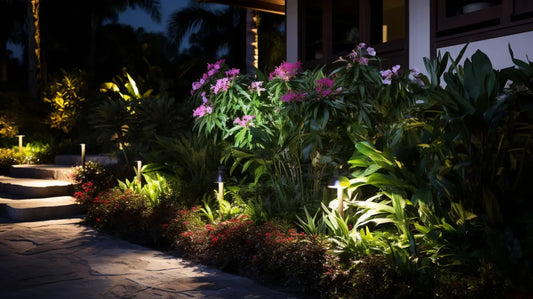 Choosing landscape lighting fixture locations around a property