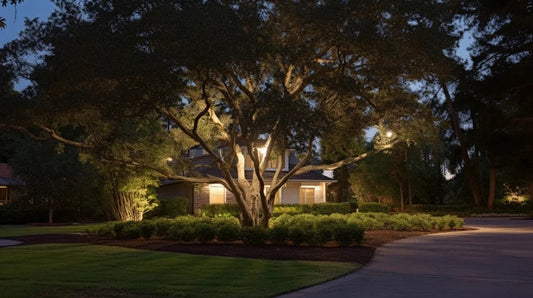 Moonlighting effect in landscape lighting