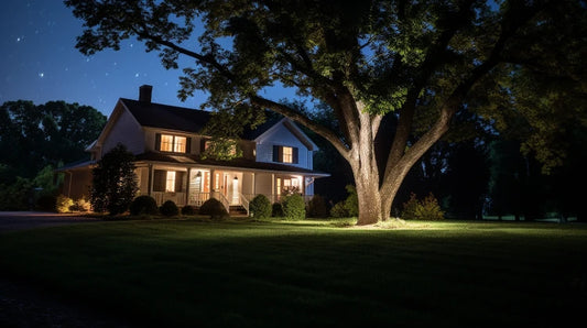 how to light an oak tree