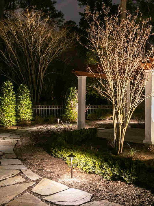 Landscape path lighting illustrating LED light output