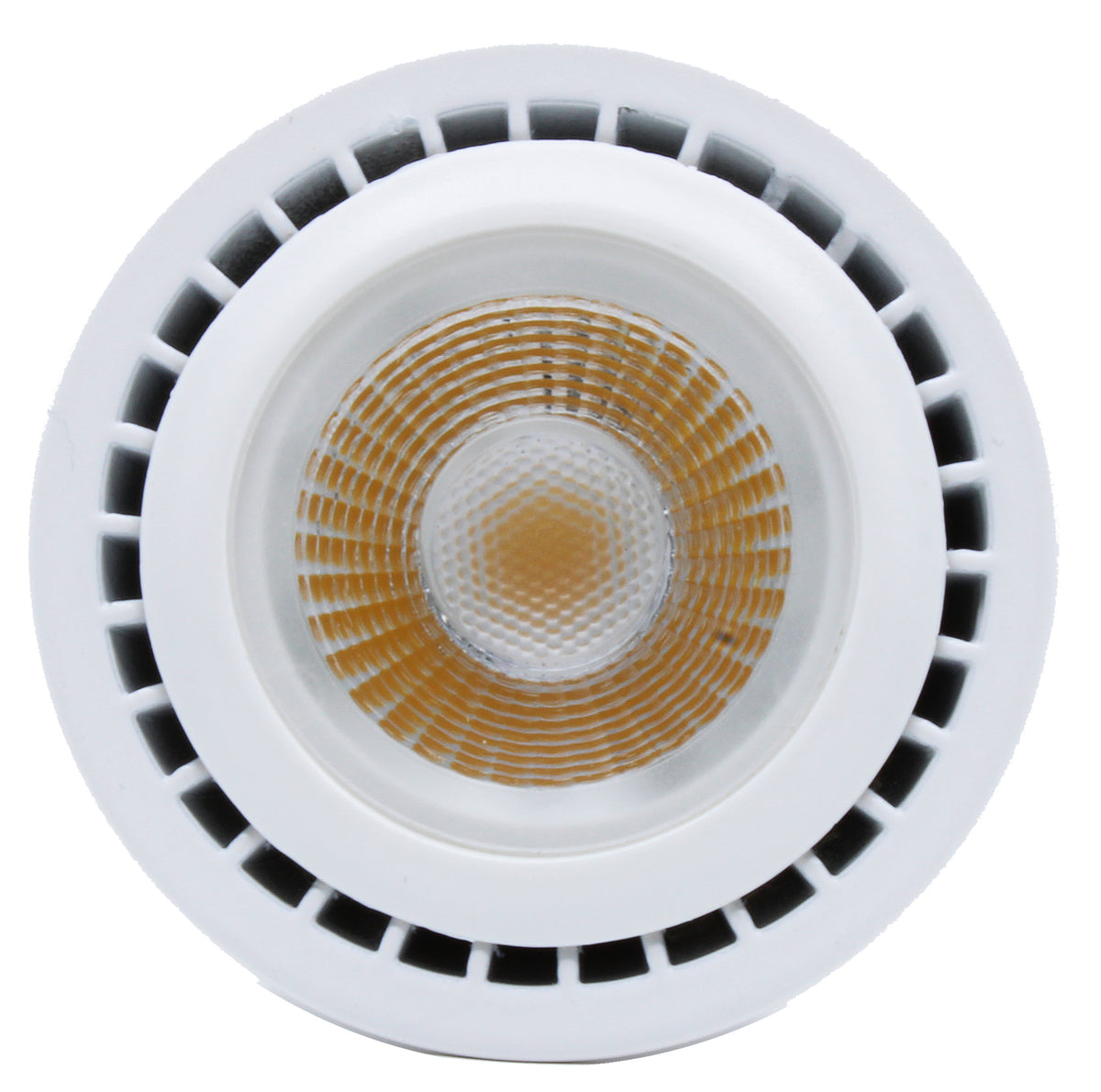 Total Light MR16 LED low-voltage landscape lamp – front view
